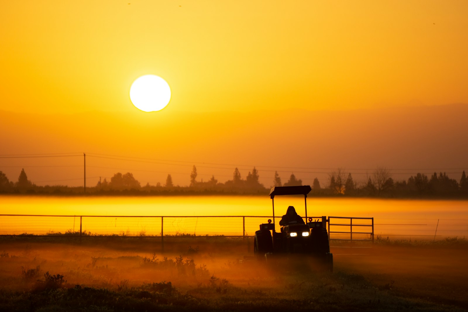 Silhueta de um trator no campo ao amanhecer, com neblina baixa e o sol no horizonte. Foto: Joe Deutscher / Unsplash
